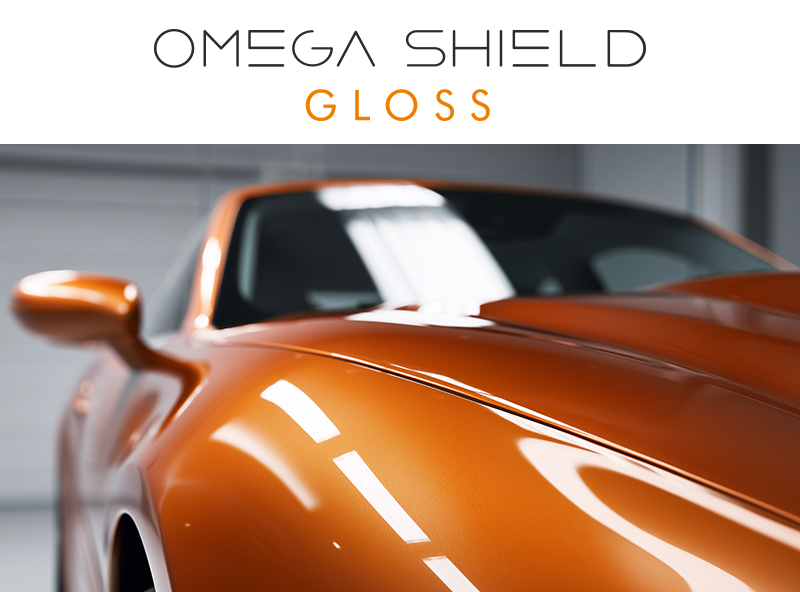 gloss