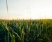 glenn-carstens-peters-piNf3C4TViA-unsplash